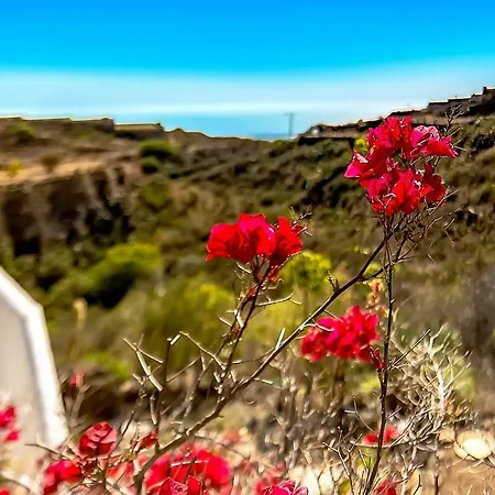 Jardines De Tamaide Kır Evi