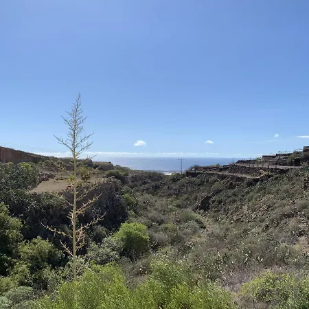 Jardines De Tamaide *