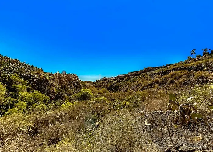 Jardines De Tamaide Landhuis San Miguel de Abona
