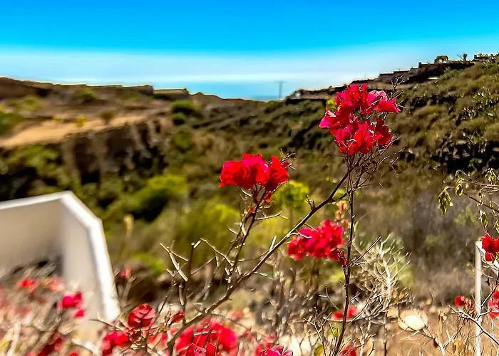 Jardines De Tamaide Hétvégi ház