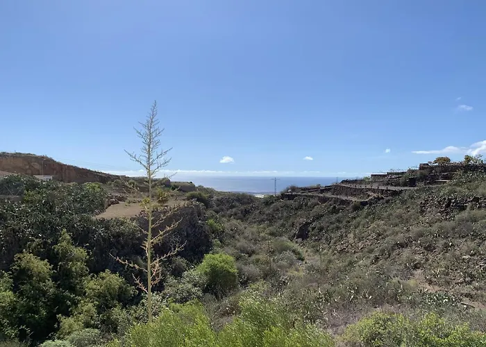 Jardines De Tamaide *